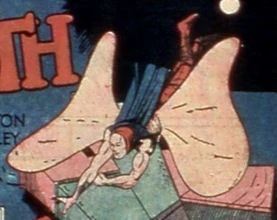 Moth