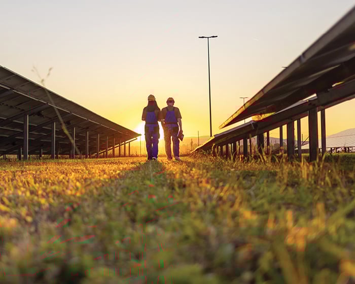 two people walking between solar panels