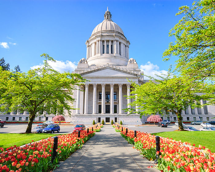 tulips in front of Washington state capitol building