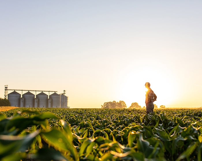 farmer standing in field with sunset