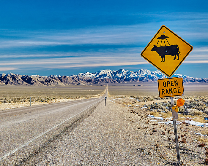 Beware UFOs stealing cattle