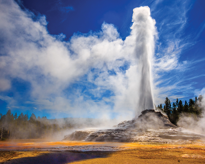 Yellowstone Geyser