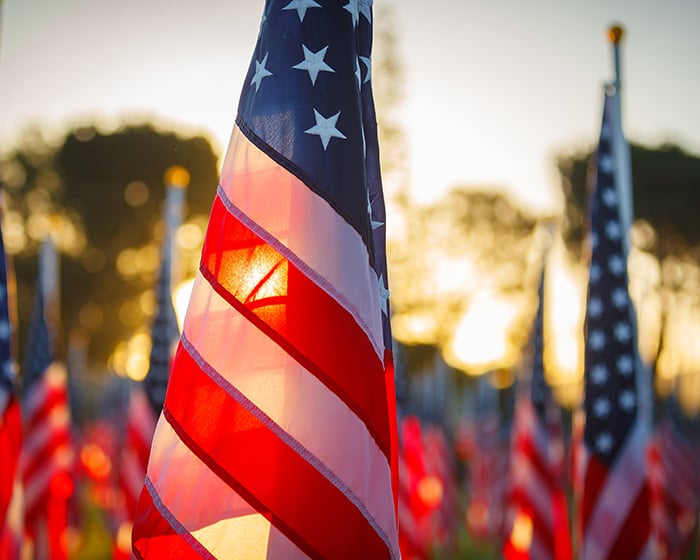 Flag for Veterans Day