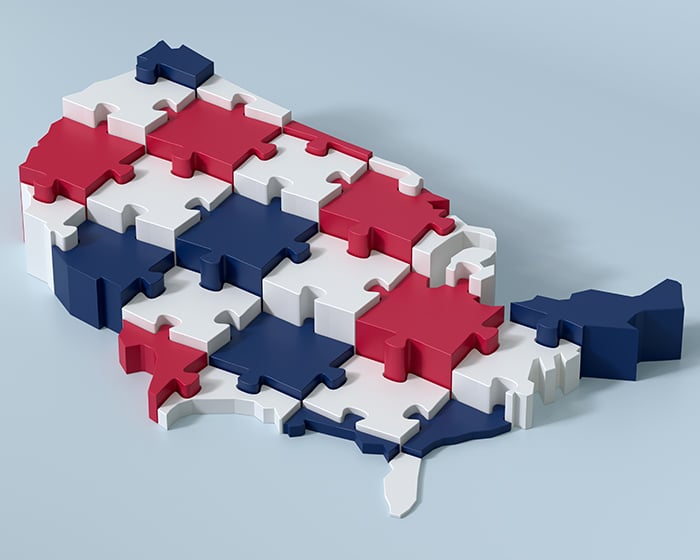 United States of America Puzzle Map