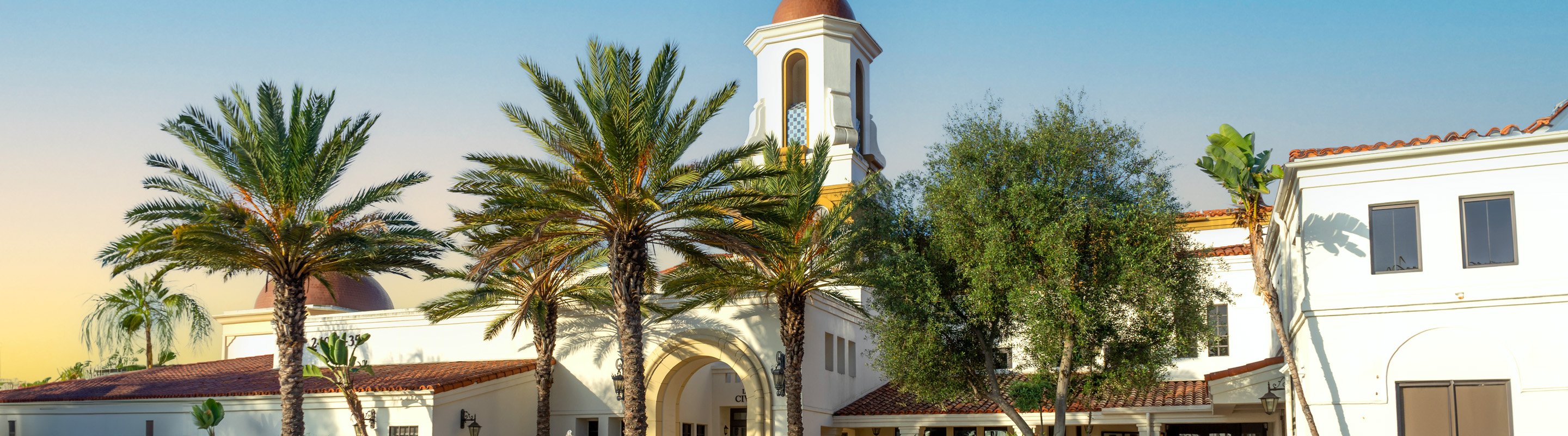 laguna hills palm trees and building