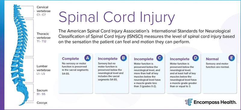 The American Spinal Cord Injury Association complete spinal cord measures graphic.