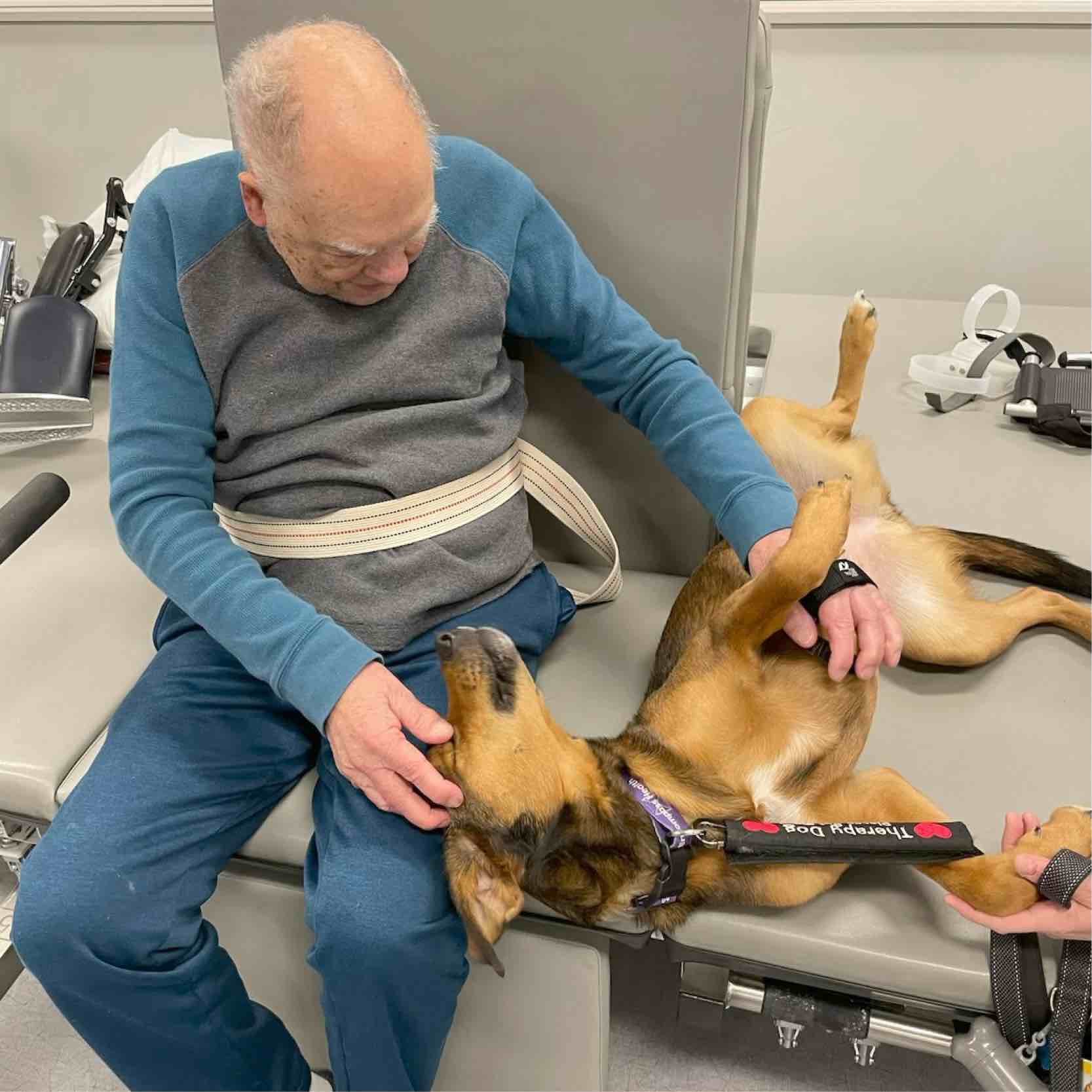 Patient participates in Greenville pet therapy session, gently interacting with a therapy dog on a treatment table within a rehabilitation hospital setting.