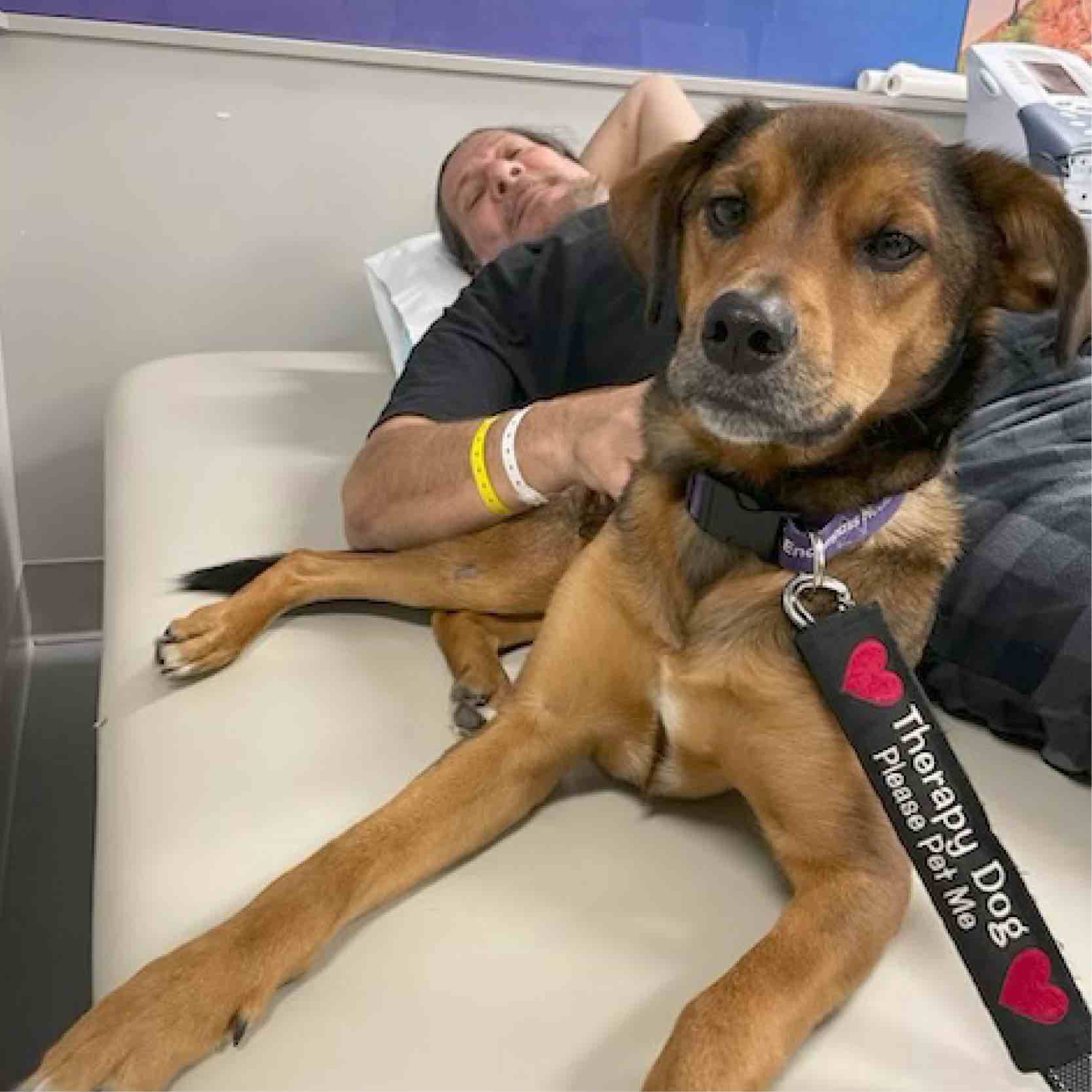 Therapy dog rests beside a patient during a Greenville pet therapy visit, supporting comfort and positive engagement in a rehabilitation hospital environment.