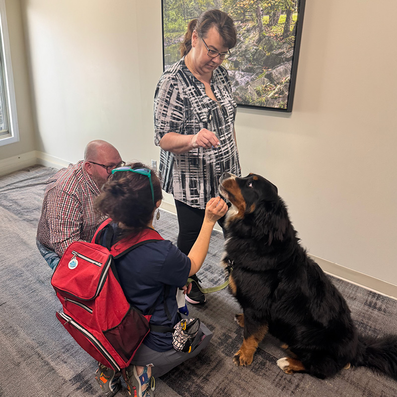 A therapy dog sits indoors while two people offer treats and interact with the dog, with a third person seated nearby in a hallway area of a healthcare facility.