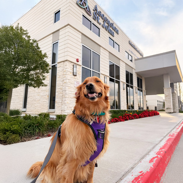 Ascension St. John Rehabilitation Hospital of Owasso therapy dog Molly sitting outside of the entrance of the hospital.