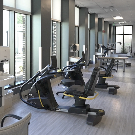 NuSteps in a line by the windows