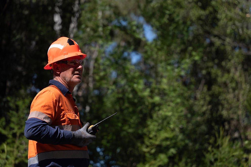 Resilience for business