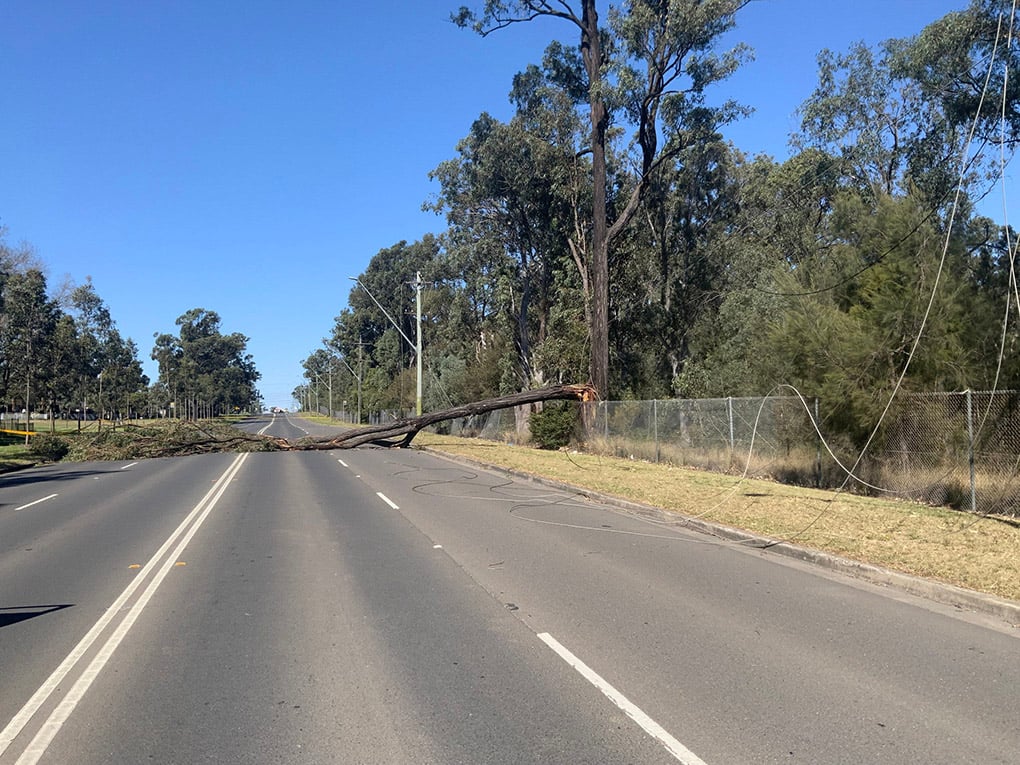 Downed or damaged powerlines 