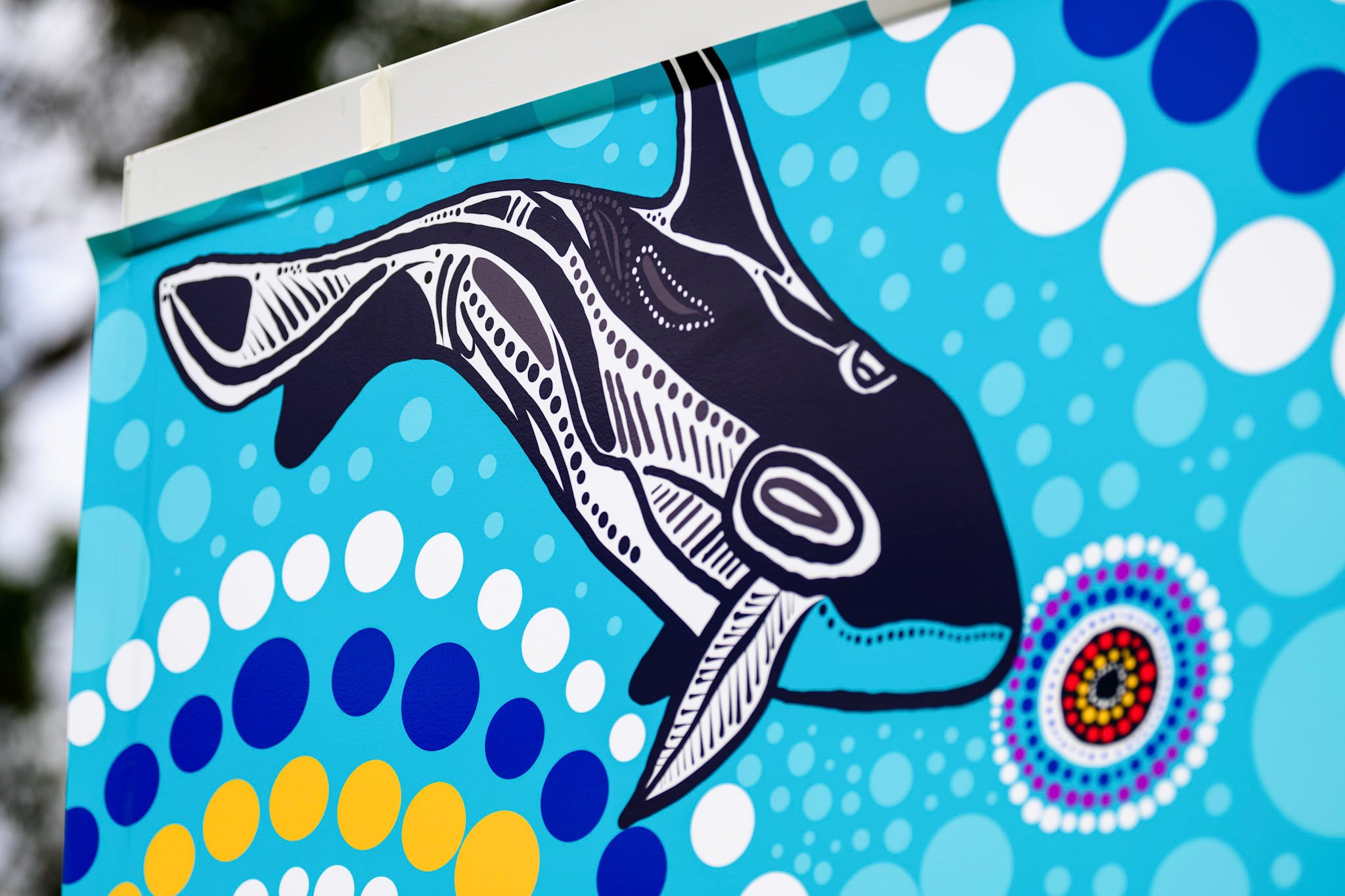 <p>Dapto Gawura Whale Dreaming by Kooraani Dunn</p>
