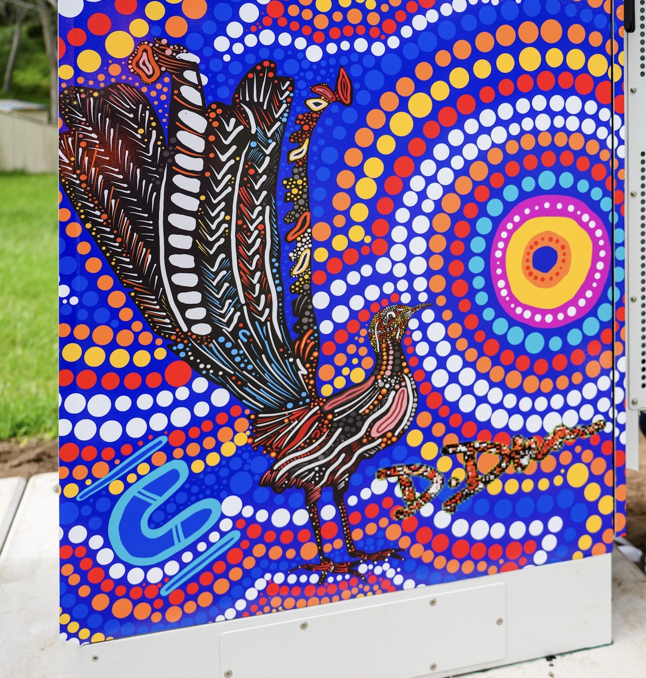 <p>Dapto Djawula Songbird Dreaming by Daren Dunn</p>