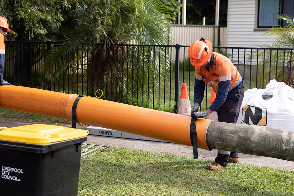 Vegetation management 