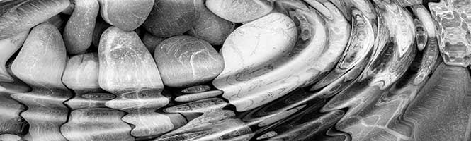 Institutional and Wholesale Investors