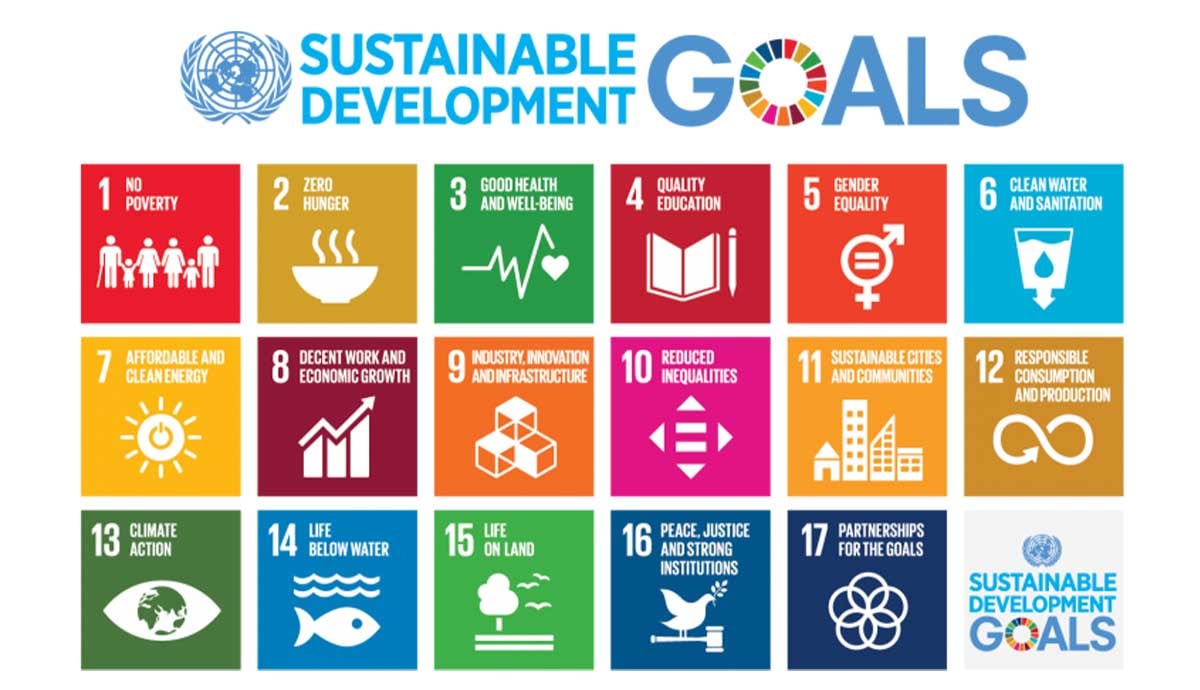 SDG1 image