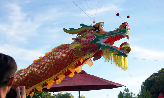 A dragon for the ages  in Bendigo