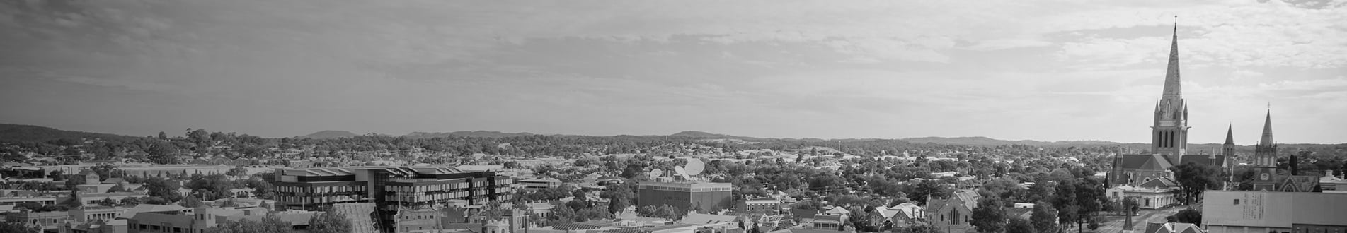 Abbott banner BENDIGO 1903x330