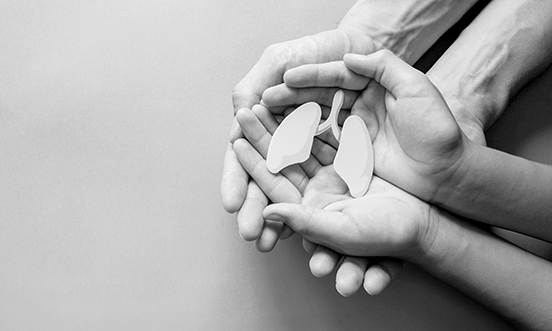 Need for more organ donation after 2020 fall