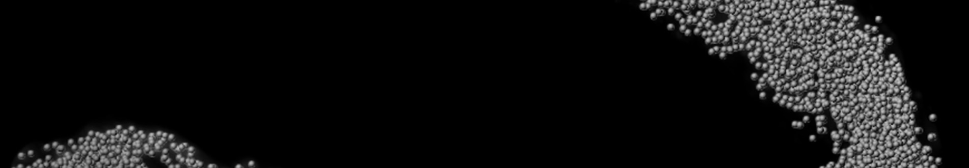 Bionics Institute