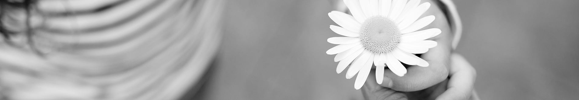 The Importance of Trust in Philanthropy
