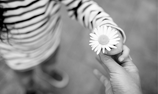 The Importance of Trust in Philanthropy