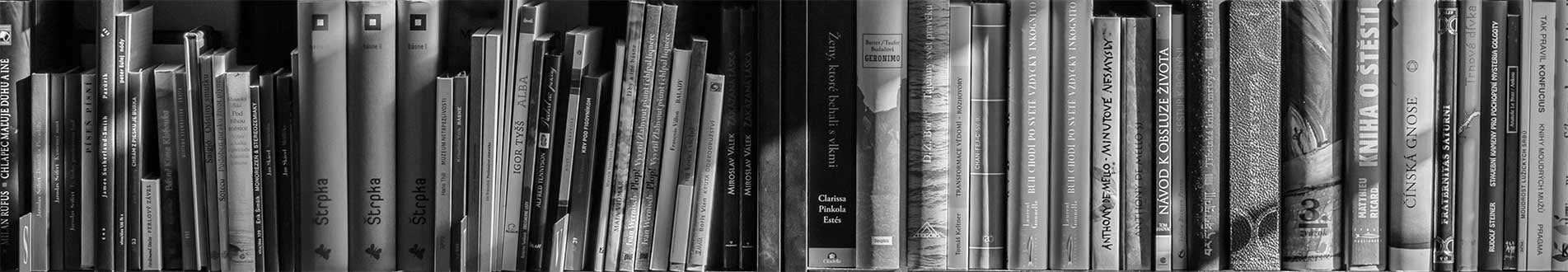 Shelf of books