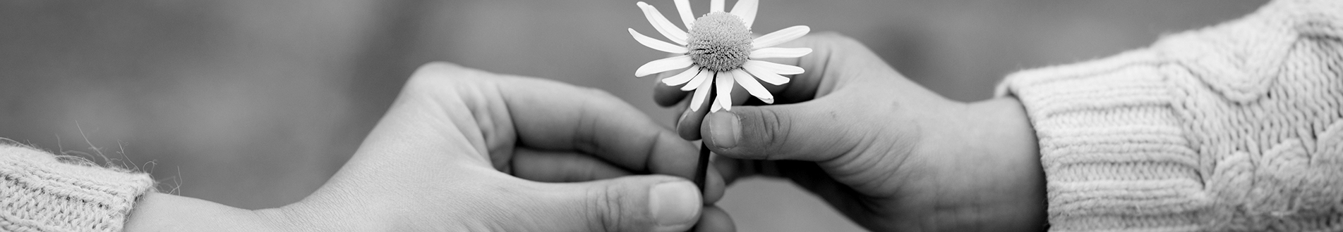 Hands flower