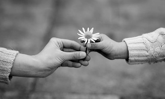 Equity Trustees Charitable Foundation Investment objectives and maximising returns