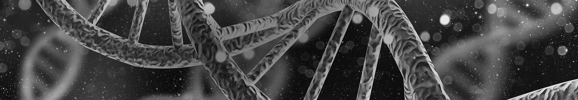 Gene magnified