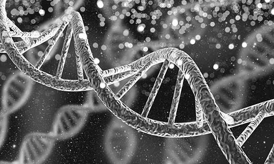 Identifying a new gene that could help control obesity