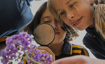 Classrooms Become Hubs of Conservation with Cool.org’s New Project