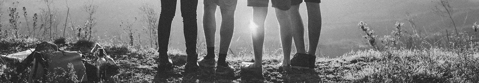 Legs