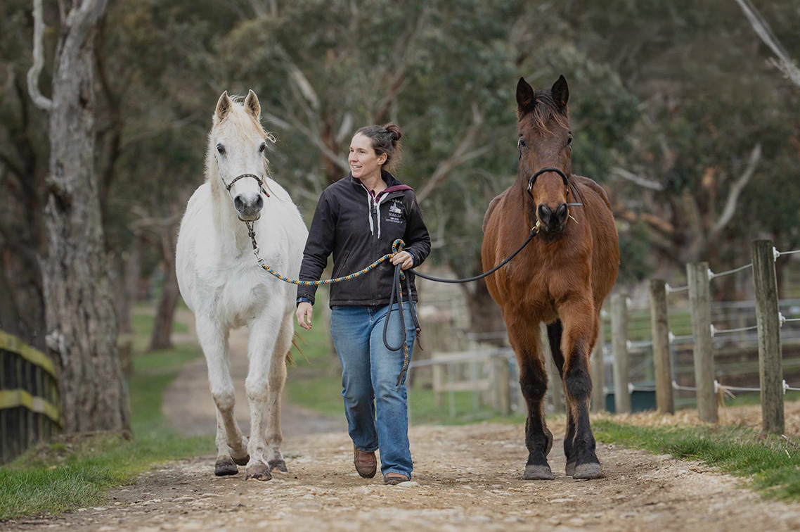 Healing hooves healing hearts 1138x756
