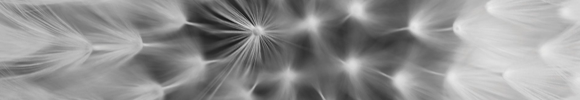 abstract 