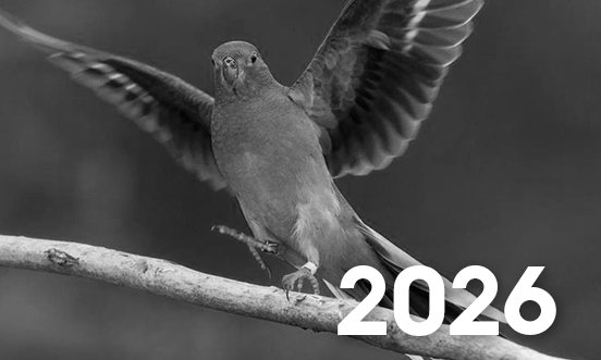 Horizon 2026 Editions