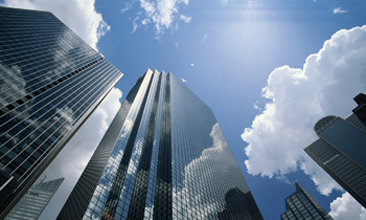 2015 Shareholder Review