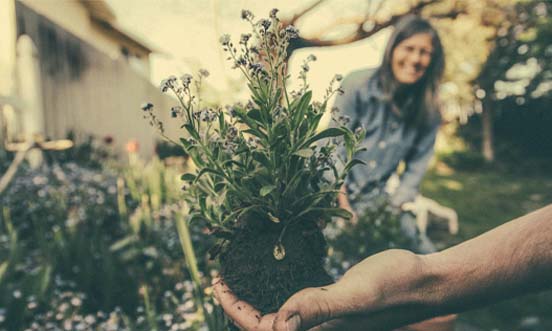 Comparison of Charitable Trusts