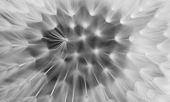 Starting the journey towards strategic philanthropy