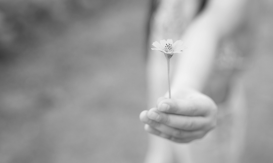 The Value of Long-Term Giving to Society