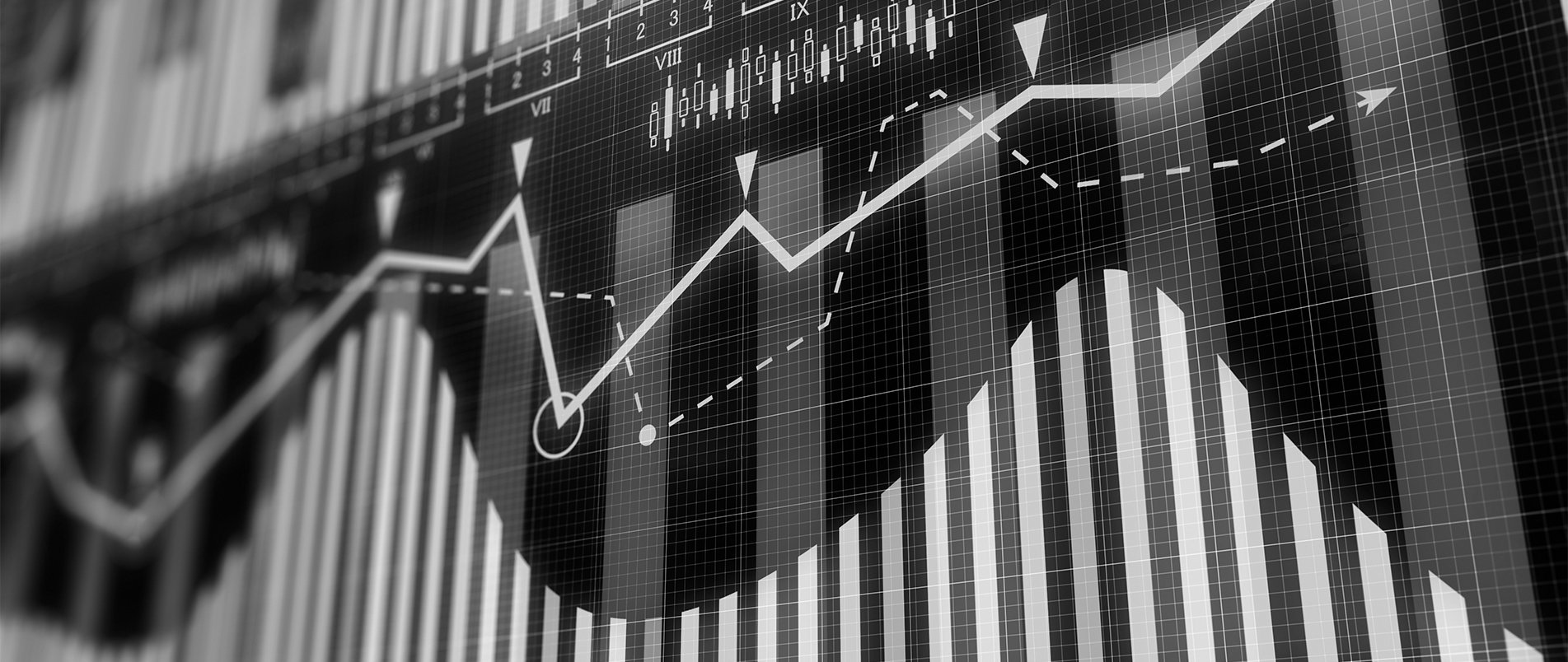 Investor Briefing