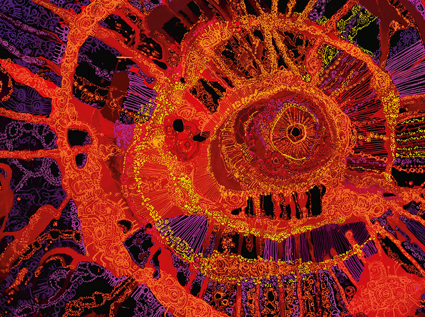 Celebrating NAIDOC Week<br>5 July - 12 July 2026