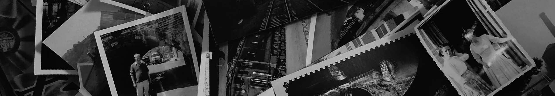 TWS page banner 40 Photos 1903 x 330