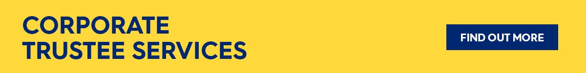 CTS Services yellow  1200 x 150