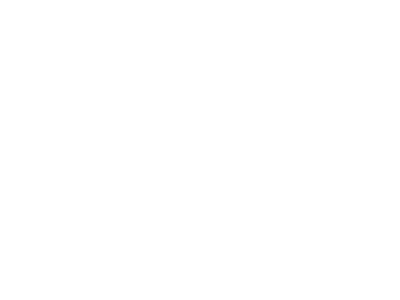Innovation in Ageing Challenge