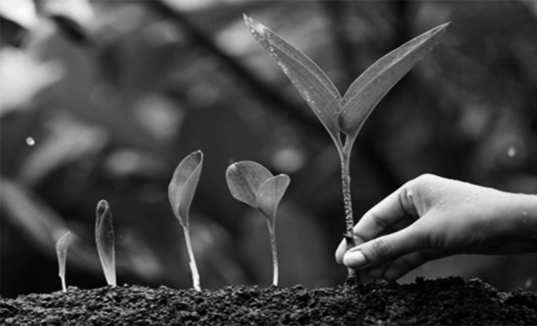 Animals & Environment Grants