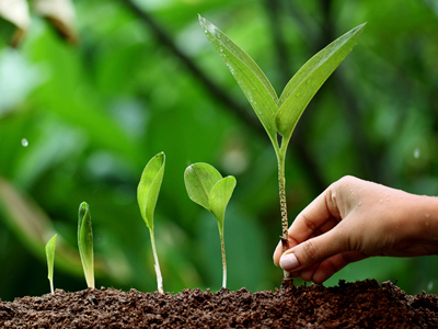 Animals & Environment Grants