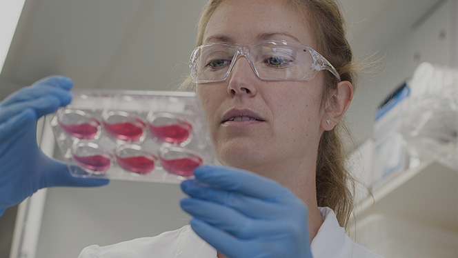 Walter and Eliza Hall Institute of Medical Research (WEHI)